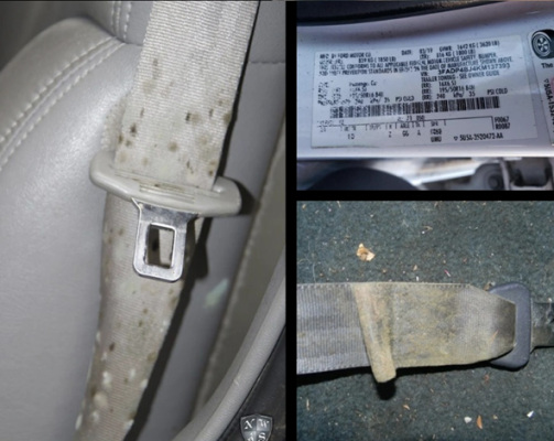 dây đai an toàn oto hư