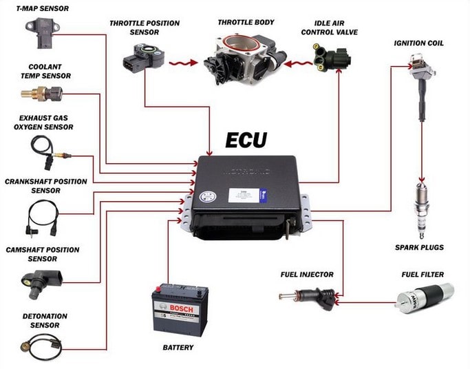 hộp ecu